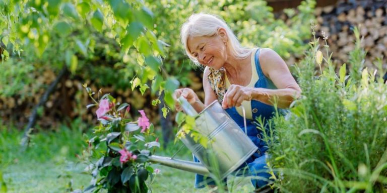 Plants for Seniors