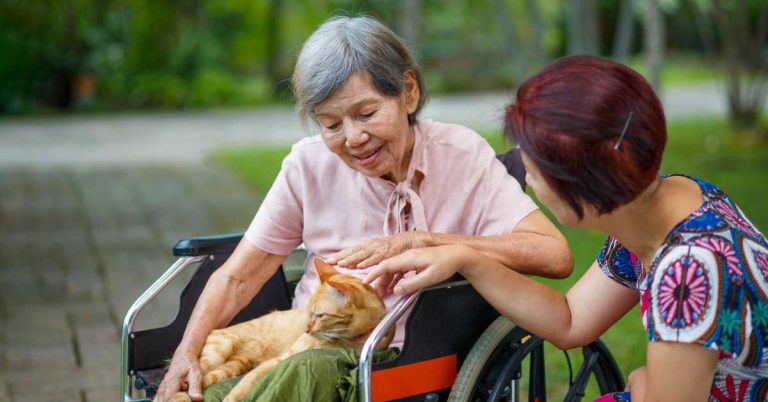 Companionship Services for Seniors