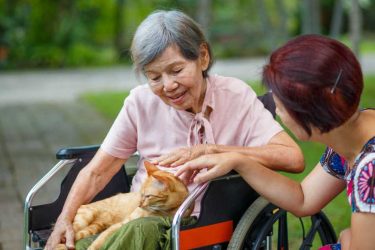 Companionship Services for Seniors